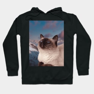 Siamese cat in the mountain sky portrait painting Hoodie